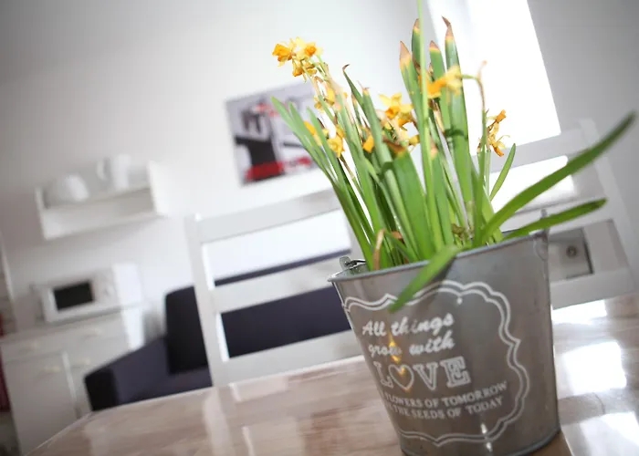 百慕大公寓 波鸿